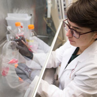 Health, Biology, and Social Sciences