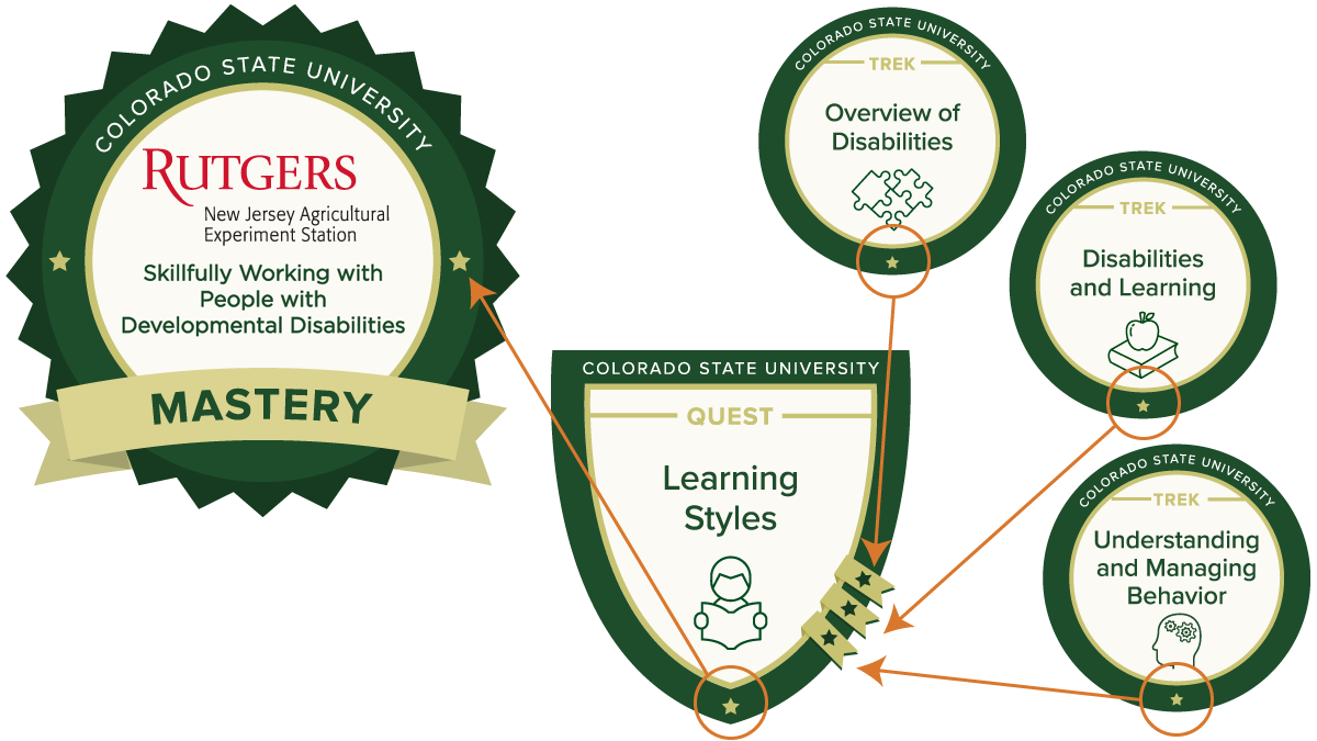 Developmental-disabilities-training-2023 1200