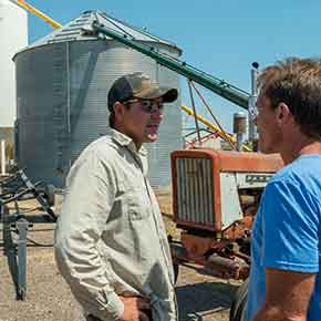 Agricultural Sciences